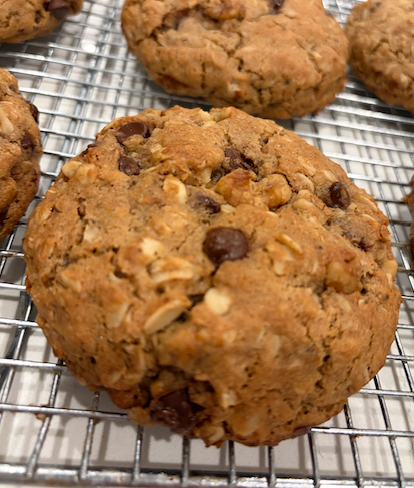 Handsome Crumb GIANT protein oatmeal chocolate chip cookie